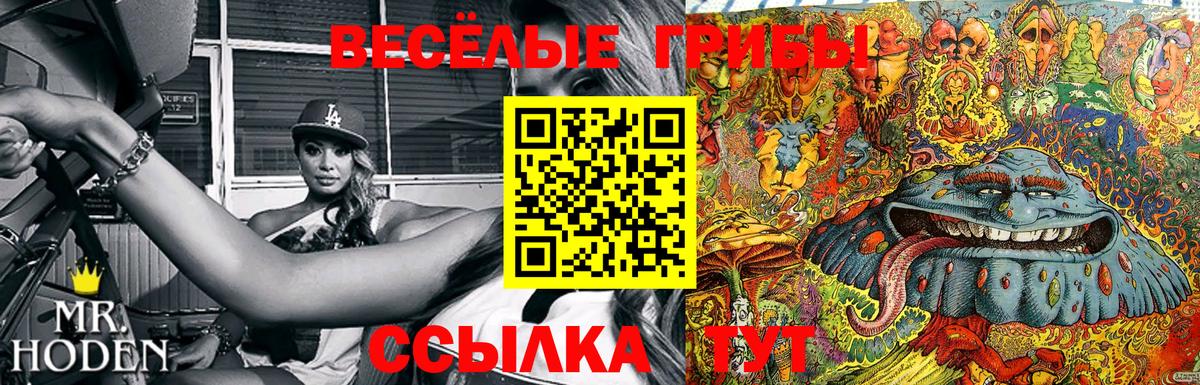 Галлюциногенные грибы Magic Shrooms Тулун